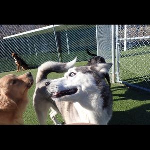 Meet your Posher, Alex